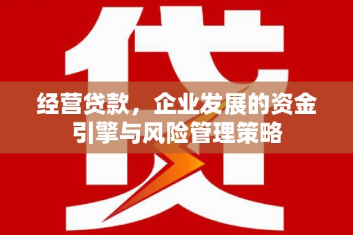 昆明经营贷款，企业发展的资金引擎与风险管理策略