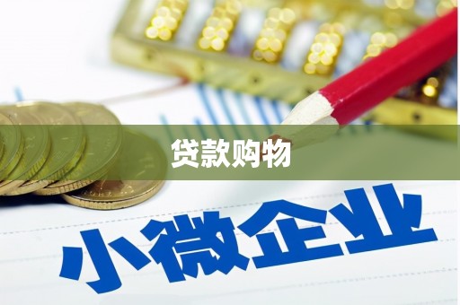 东乌旗贷款购物