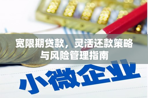 灌阳宽限期贷款，灵活还款策略与风险管理指南