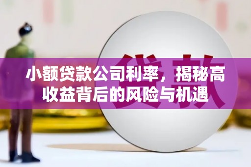 阿莲小额贷款公司利率，揭秘高收益背后的风险与机遇