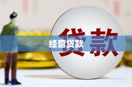 澧县经营贷款