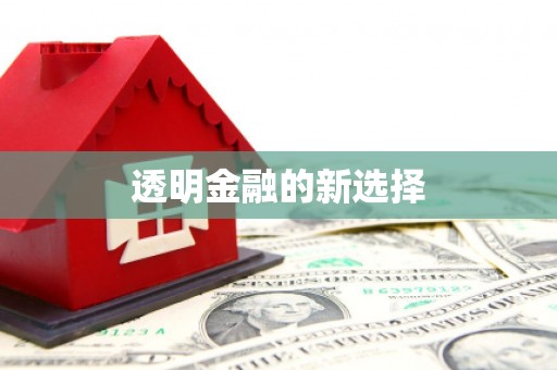 松北透明金融的新选择