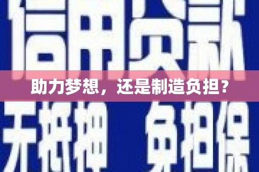 东乡族助力梦想，还是制造负担？
