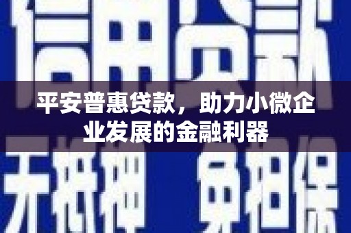 惠山平安普惠贷款，助力小微企业发展的金融利器