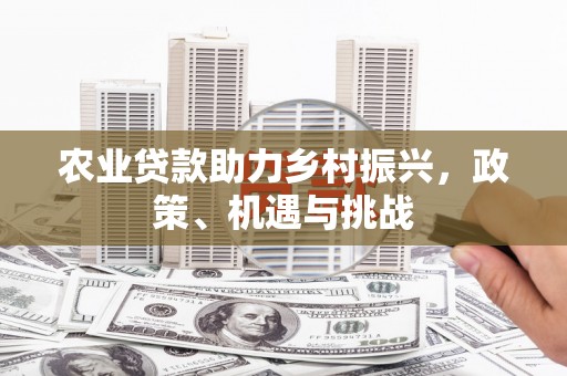 安化农业贷款助力乡村振兴，政策、机遇与挑战