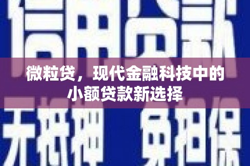 外埔微粒贷，现代金融科技中的小额贷款新选择