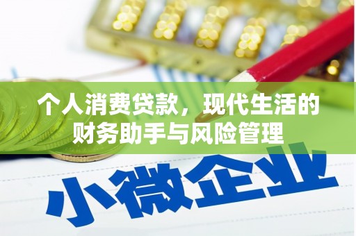 伽师个人消费贷款，现代生活的财务助手与风险管理