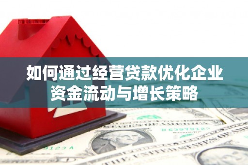 海端如何通过经营贷款优化企业资金流动与增长策略