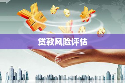 广安贷款风险评估