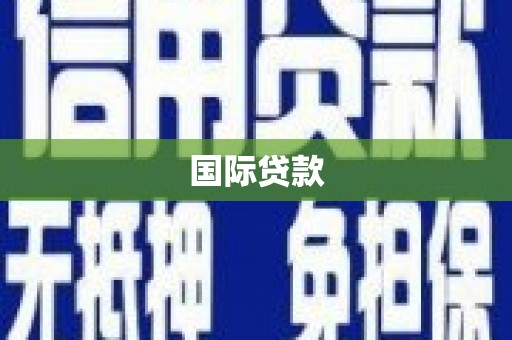西华国际贷款