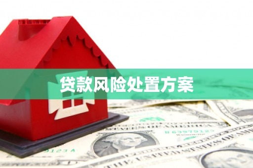 霍城贷款风险处置方案