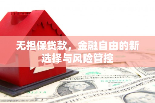 汕尾无担保贷款，金融自由的新选择与风险管控