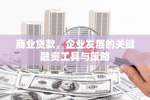 舞阳商业贷款，企业发展的关键融资工具与策略
