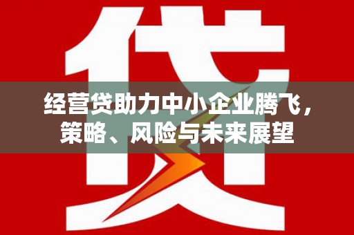 行唐经营贷助力中小企业腾飞，策略、风险与未来展望