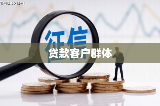崖州贷款客户群体