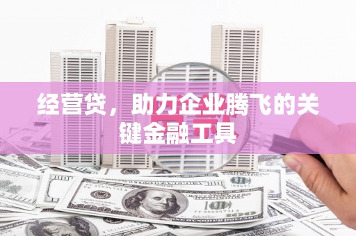 靖州经营贷，助力企业腾飞的关键金融工具