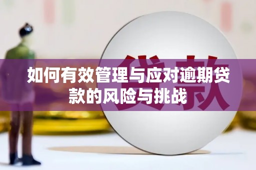 阜康如何有效管理与应对逾期贷款的风险与挑战