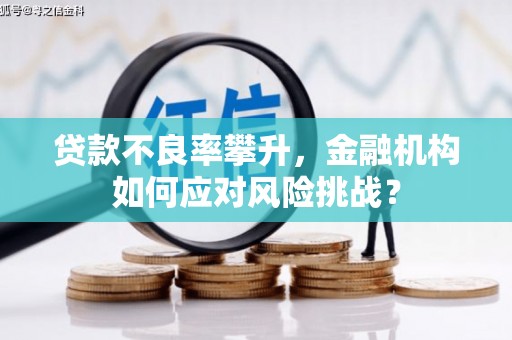 宜兰贷款不良率攀升，金融机构如何应对风险挑战？