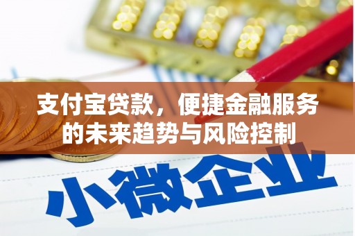 太和支付宝贷款，便捷金融服务的未来趋势与风险控制
