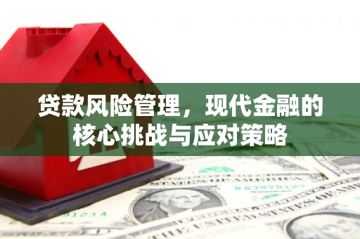威宁贷款风险管理，现代金融的核心挑战与应对策略