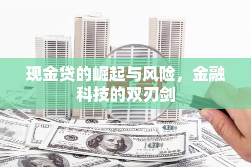 武川现金贷的崛起与风险，金融科技的双刃剑