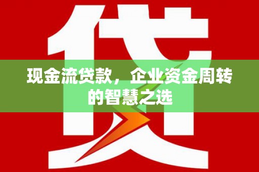 泸溪现金流贷款，企业资金周转的智慧之选
