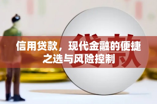 临猗信用贷款，现代金融的便捷之选与风险控制