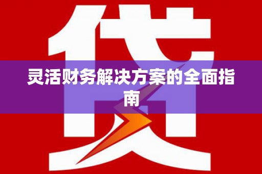 东凤灵活财务解决方案的全面指南