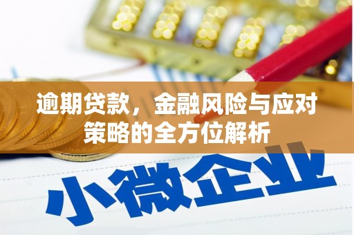 黄陂逾期贷款，金融风险与应对策略的全方位解析