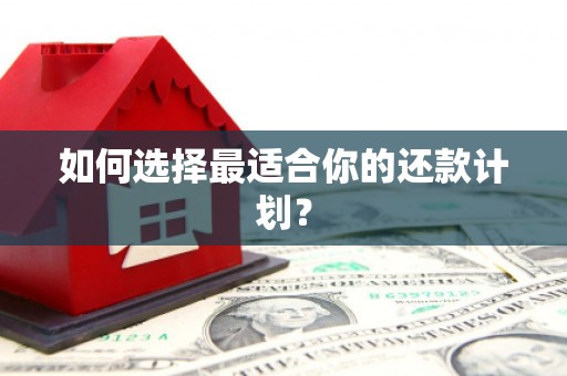 独山子如何选择最适合你的还款计划？
