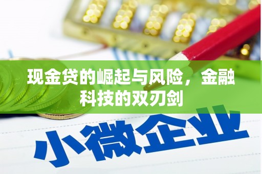 疏勒现金贷的崛起与风险，金融科技的双刃剑