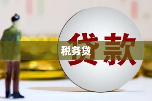 五原税务贷