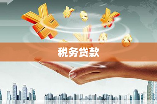 工布江达税务贷款