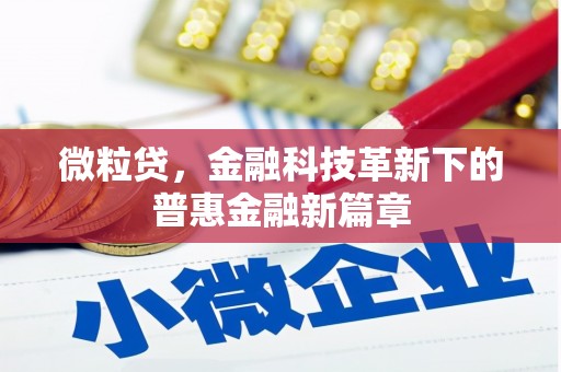 岢岚微粒贷，金融科技革新下的普惠金融新篇章