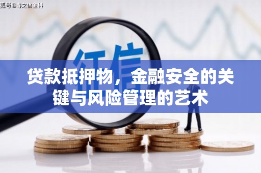 水林贷款抵押物，金融安全的关键与风险管理的艺术