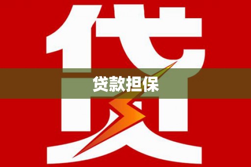 岱岳贷款担保