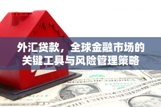 正宁外汇贷款，全球金融市场的关键工具与风险管理策略