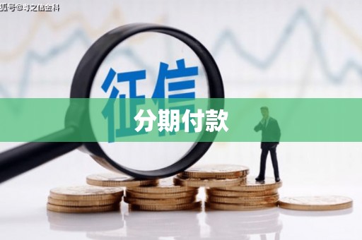 沧县分期付款