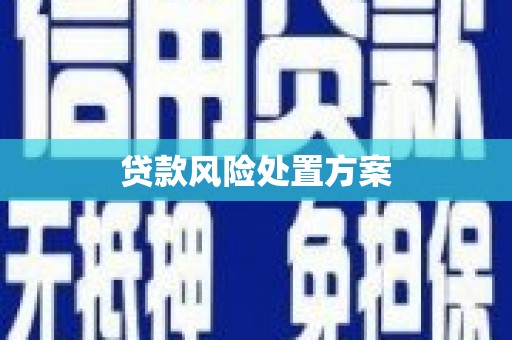 玉树贷款风险处置方案