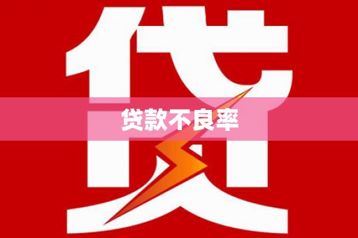 沈丘贷款不良率