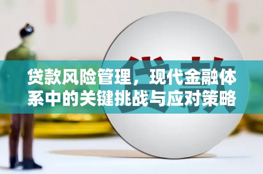 温州贷款风险管理，现代金融体系中的关键挑战与应对策略