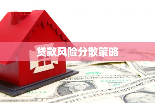 圣方济各堂区贷款风险分散策略