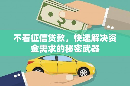 美兰不看征信贷款，快速解决资金需求的秘密武器