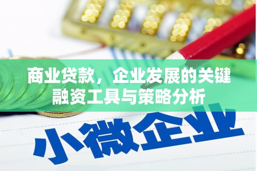 米脂商业贷款，企业发展的关键融资工具与策略分析