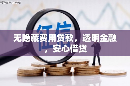 林芝无隐藏费用贷款，透明金融，安心借贷