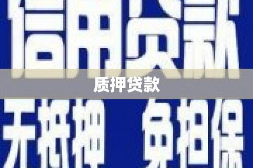 龙游质押贷款