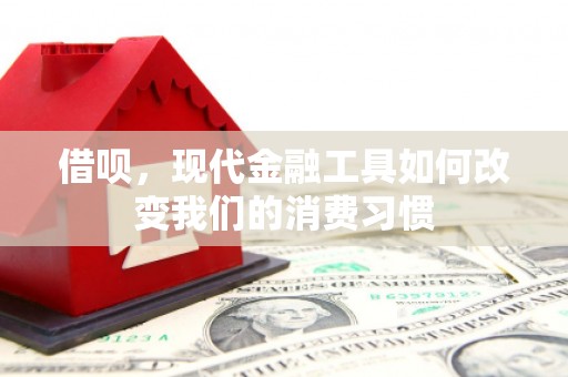 狮潭借呗，现代金融工具如何改变我们的消费习惯