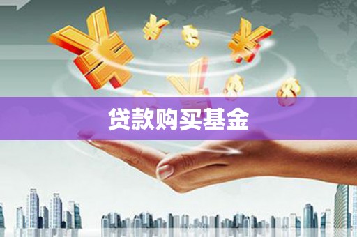 普湾新区贷款购买基金
