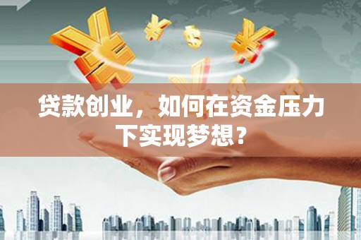 双清贷款创业，如何在资金压力下实现梦想？