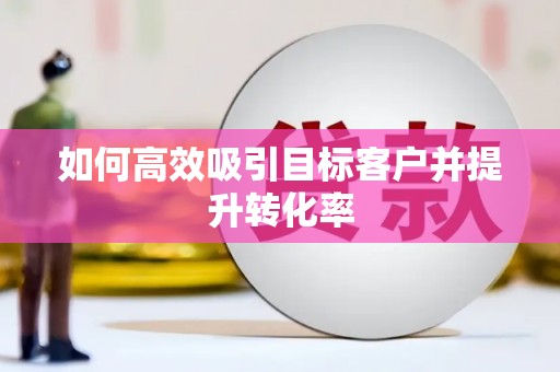 岱岳如何高效吸引目标客户并提升转化率